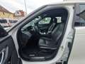 Land Rover Range Rover Velar Basis Weiß - thumbnail 33