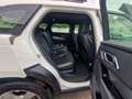 Land Rover Range Rover Velar Basis Weiß - thumbnail 21