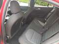 Alfa Romeo Giulia 2.2 t Executive 160cv auto Rosso - thumbnail 7