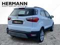 Ford EcoSport 1.0 EcoBoost Titanium CAM*LED*SHZ*SYNC Blanco - thumbnail 4
