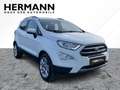 Ford EcoSport 1.0 EcoBoost Titanium CAM*LED*SHZ*SYNC Blanco - thumbnail 5