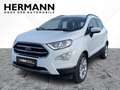 Ford EcoSport 1.0 EcoBoost Titanium CAM*LED*SHZ*SYNC Blanco - thumbnail 1