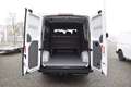 Volkswagen Crafter Plus 35 2.0TDI 7-Sitzer Standheizung Weiß - thumbnail 13