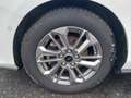 Ford Focus Turnier 1.5TDCI Titanium X AUTOMATIK*LED* Blanc - thumbnail 18