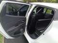 Renault Clio Clio 1.2 16V 75 LIMITED Weiß - thumbnail 6