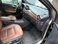 Mercedes-Benz B 220 B 220 CDI (BlueEFFICIENCY) 7G-DCT Grau - thumbnail 8