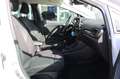 Ford Fiesta Titanium PPS Winterpaket Klimaautomatik Weiß - thumbnail 7