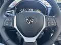 Suzuki S-Cross 1.4 Boosterjet Style Smart Hybrid 111pk | Panorama Grau - thumbnail 19