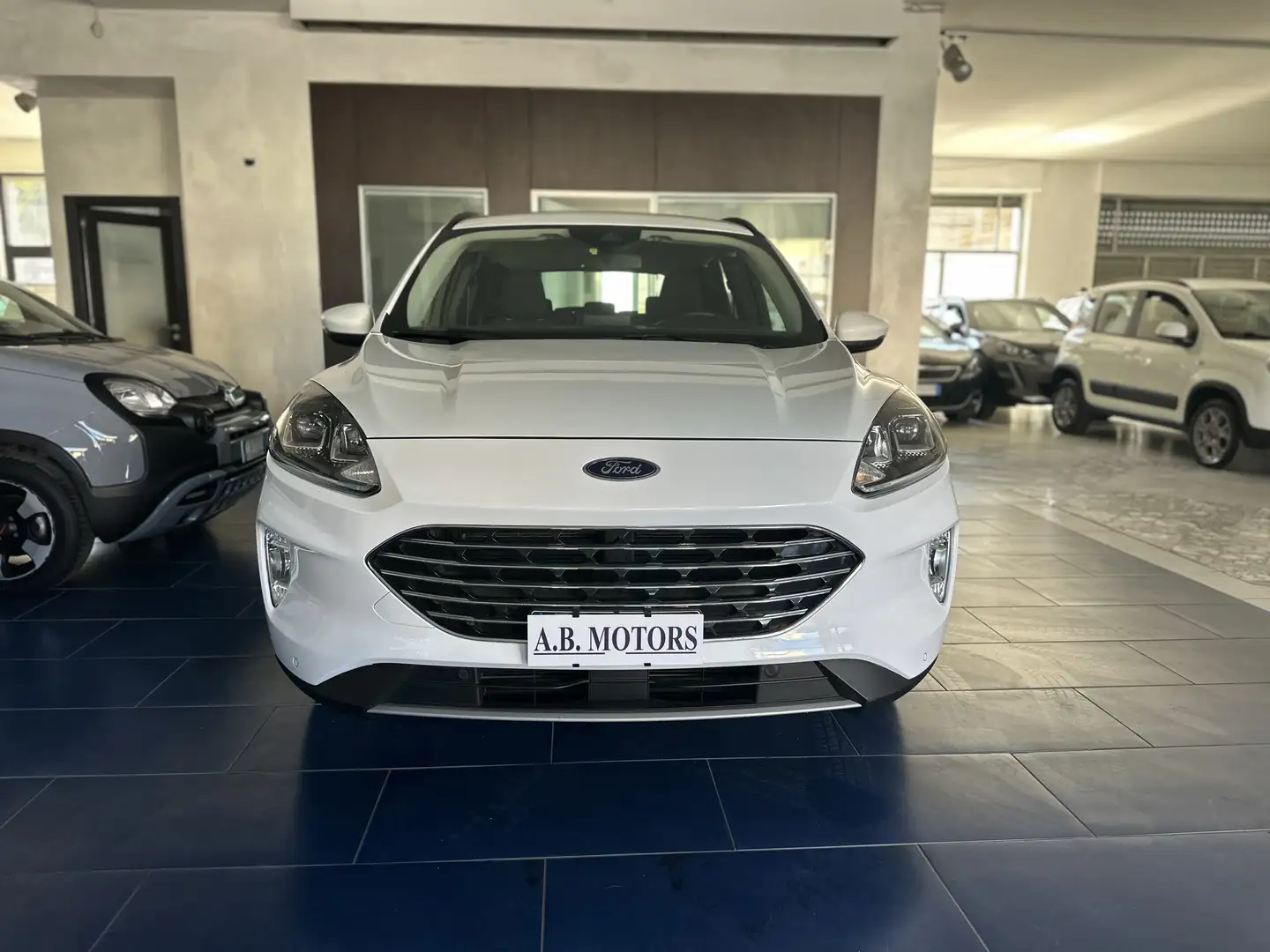 Ford Kuga Kuga III 2020 1.5 ecoblue Titan. Business  auto Bianco - 2