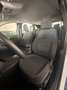 Ford Kuga Kuga III 2020 1.5 ecoblue Titan. Business  auto Bianco - thumbnail 8