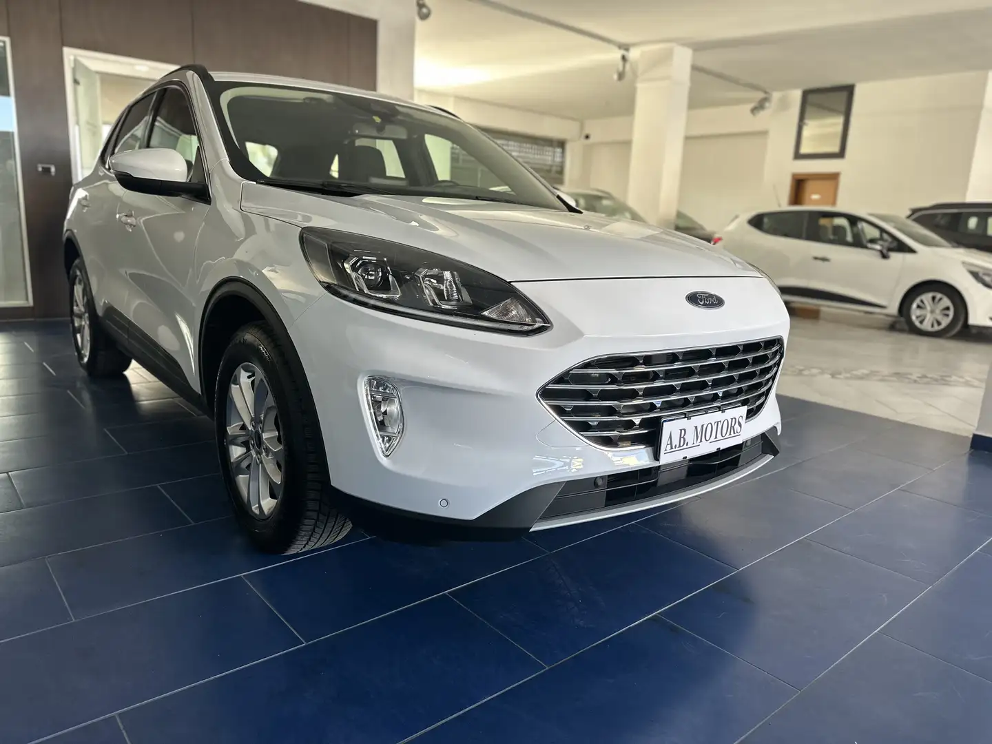 Ford Kuga Kuga III 2020 1.5 ecoblue Titan. Business  auto Bianco - 1