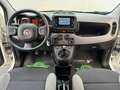 Fiat Panda 1.0 Hybrid NEOPATENTATI|5 POSTI|BLUETOOTH Bianco - thumbnail 2