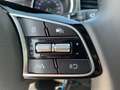 Kia Ceed / cee'd ceed 1,0 T-GDI GPF Titan Blau - thumbnail 13