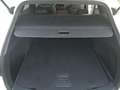 Toyota Corolla Touring Sports 125H Business Plus Blanco - thumbnail 6
