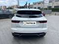 Jaguar E-Pace S 4X4 MILD HYBRID-Unico Proprietario-Tagliandi Jag Bianco - thumbnail 7