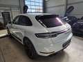 Porsche Macan GTS /1.Hand/18-Wege/Bose/Carbon/*550€ Weiß - thumbnail 13