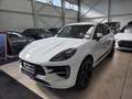 Porsche Macan GTS /1.Hand/18-Wege/Bose/Carbon/*550€ Weiß - thumbnail 5