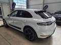 Porsche Macan GTS /1.Hand/18-Wege/Bose/Carbon/*550€ Weiß - thumbnail 14