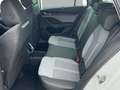 Skoda Octavia Combi 1.5 TSI MHEV Exclusive LED*NAV*SHZ*ACC*PD... Weiß - thumbnail 17