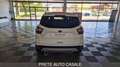 Ford Kuga 1.5 TDCI 120 CV S&S 2WD Powershift Edition Weiß - thumbnail 4
