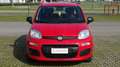 Fiat Panda 1.2 GPL EasyPower, NeoPatentati, Garanzia.. Rosso - thumbnail 9