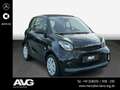 smart forTwo smart EQ fortwo Klima SHZ Cool & Audio LED RDK Schwarz - thumbnail 3