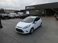Ford Fiesta 1.6 TDCi 90pk 3d Trend Airco '08 garantie (34851) Blanc - thumbnail 17