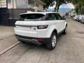 Land Rover Range Rover Evoque LAND ROVER RANGE ROVER EVOQUE (2) ED4 150 BUSINESS Blanc - thumbnail 22
