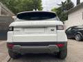 Land Rover Range Rover Evoque LAND ROVER RANGE ROVER EVOQUE (2) ED4 150 BUSINESS Wit - thumbnail 21