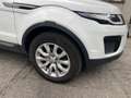 Land Rover Range Rover Evoque LAND ROVER RANGE ROVER EVOQUE (2) ED4 150 BUSINESS Wit - thumbnail 3