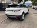 Land Rover Range Rover Evoque LAND ROVER RANGE ROVER EVOQUE (2) ED4 150 BUSINESS Wit - thumbnail 19