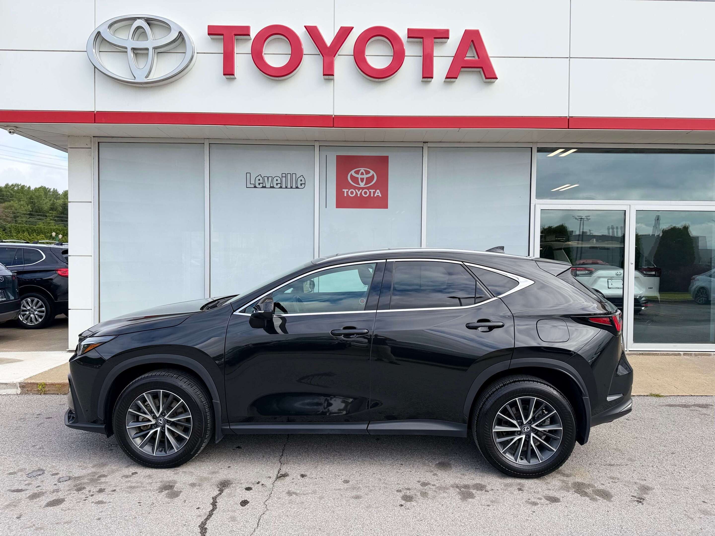 2025 Lexus NX