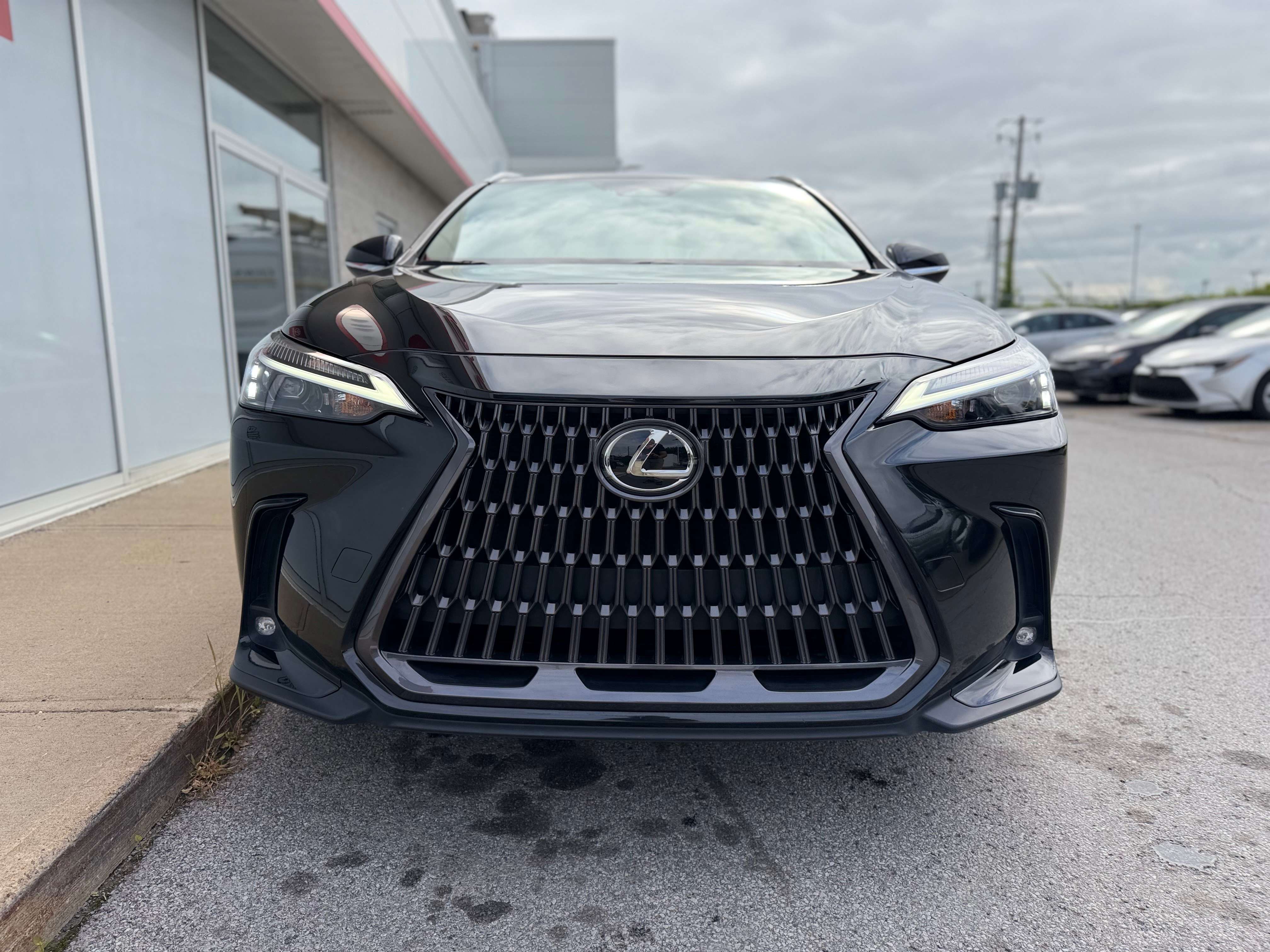 2025 Lexus NX