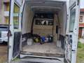 Iveco Daily 6 posti Wit - thumbnail 4