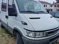 Iveco Daily 6 posti Wit - thumbnail 3