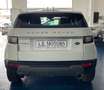 Land Rover Range Rover Evoque Range Rover Evoque 5p 2.0 td4 Pure 150cv Blanc - thumbnail 4