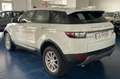 Land Rover Range Rover Evoque Range Rover Evoque 5p 2.0 td4 Pure 150cv Blanc - thumbnail 5