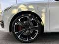 CUPRA Leon Leon 1.4 e-hybrid VZ 245cv dsg Blanc - thumbnail 6