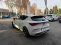 CUPRA Leon Leon 1.4 e-hybrid VZ 245cv dsg Blanc - thumbnail 3