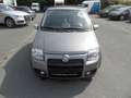 Fiat Panda 1.4 16V 100HP Grau - thumbnail 3