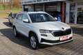 Skoda Karoq DSG Selection LED CAM  PDC Design-Paket Weiß - thumbnail 3