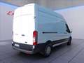 Ford Transit 350 2.0 tdci 170cv trend L3H2 E6 Weiß - thumbnail 5