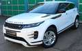 Land Rover Range Rover Evoque R-Dynamic S D165 AWD Aut. Blanco - thumbnail 1