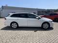 Volkswagen Golf Variant LIFE 1.5 eTSI DSG HEADUP NAVI SHZ Weiß - thumbnail 5