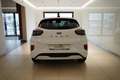 Ford Puma ST-LINE 1.0 EcoBoost 125PS Weiß - thumbnail 21