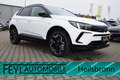 Opel Grandland X Grandland 1.2 Turbo "Ultimate" AT Weiß - thumbnail 1