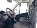Toyota Proace VAN 2.2D 103 kW (140CV) L3H2 GX Blanco - thumbnail 11