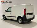 Fiat Doblo Doblò 1.6 MJT Cargo 105CV Professional Bianco - thumbnail 4