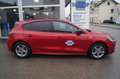 Ford Focus ST-Line Lim. 5-TG. Rot - thumbnail 4