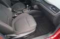 Ford Focus ST-Line Lim. 5-TG. Rot - thumbnail 14